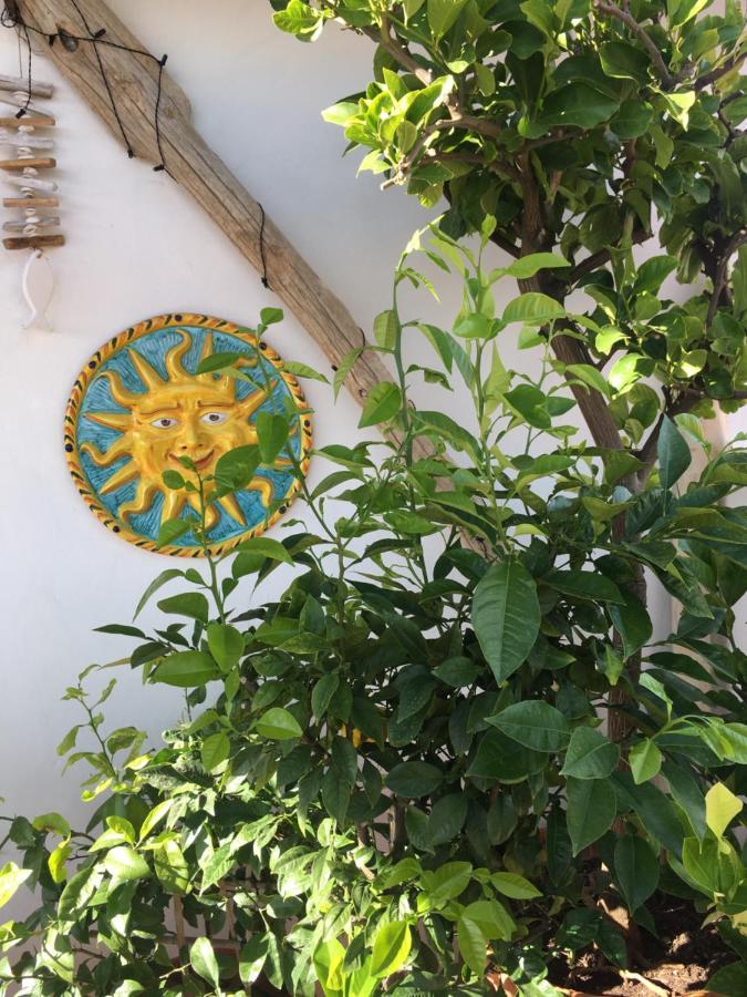 La Terrazza Sui Tetti Bed & Breakfast เซนีกัลเลีย ภายนอก รูปภาพ
